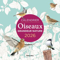 Calendrier Oiseaux grandeur nature (édition 2026)