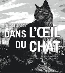 Dans l'oeil du chat
