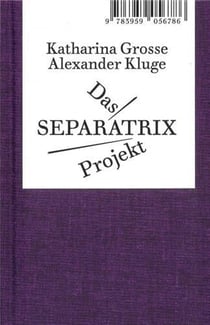 Alexander Kluge/Katharina Grosse : das separatrix project