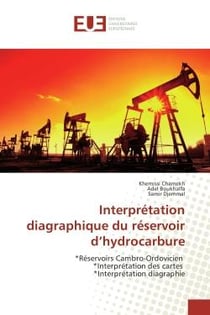 Interprétation diagraphique du réservoir d'hydrocarbure - réservoirs cambro-ordovicien, interprétation des cartes, interprétation diagraphie