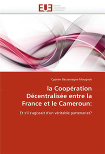 La cooperation decentralisee entre la france et le cameroun: