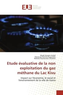 Etude évaluative de la non exploitation du gaz méthane du Lac Kivu : Impact sur l'économie, le social et l'environnement de la ville de Goma