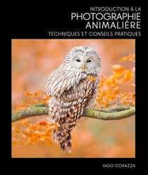 Introduction à la photographie animalière : techniques et conseils pratiques