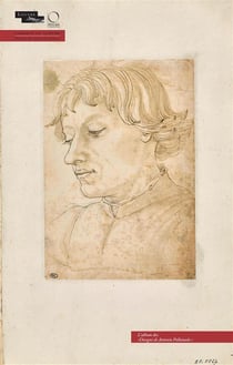 L'album des "disegni di Antonio Pollaiuolo"