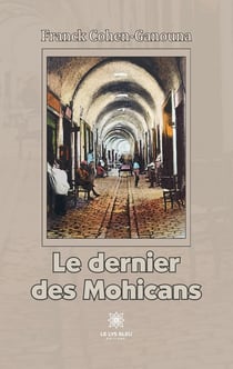 Le dernier des Mohicans