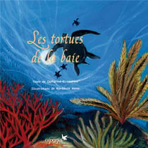 Les tortues de la baie
