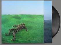 Bright Green Field