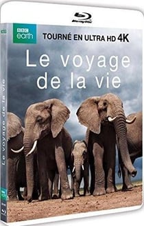 Le Voyage de la vie
