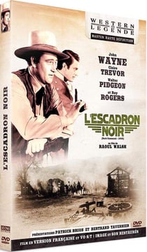 L'Escadron noir