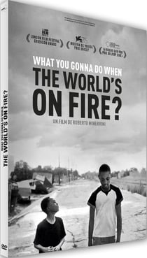 What You Gonna Do When the World's on Fire ?