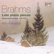 Pièces pour piano tardives