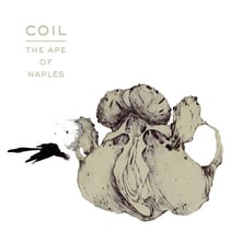 Ape of Naples