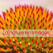 La nature en images (édition 2020)