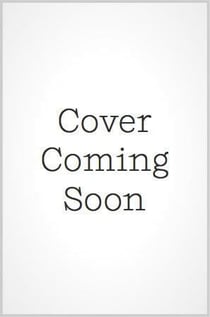 The Jetsetters : A Novel