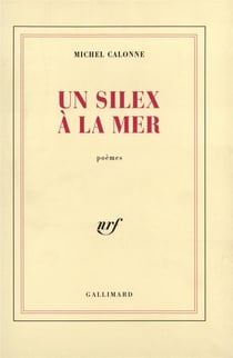 Un silex a la mer