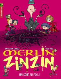 Merlin Zinzin Tome 7 : un sort au poil
