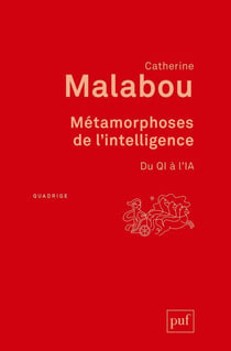Métamorphoses de l'intelligence - du QI à l'IA