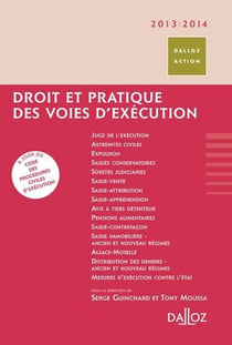 Droit et pratique des voies d'exécution (édition 2013/2014)