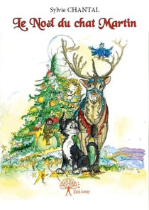Le noël du chat martin