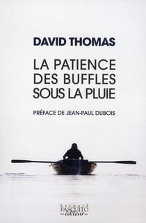 La patience des buffles sous la pluie