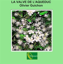 La valve de l'aqueduc