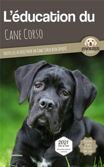 L'éducation du Cane Corso : toutes les astuces pour un Cane Corso bien éduqué
