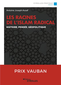 Les racines de l'islam radical - histoire, pensée, géopolitique