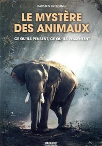 Le mystère des animaux - ce qu'ils pensent, ce qu'ils ressentent