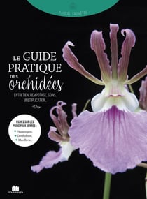 Orchidées : entretien, soin, multiplication...