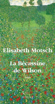 La bécassine de Wilson