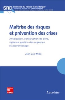 Maitrise des risques et prévention des crises anticipation construction de sens vigilance gestion