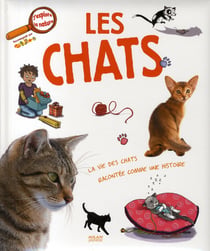 Les chats - la vie des chats racontée comme une histoire