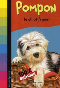 Pompon - le chiot fripon