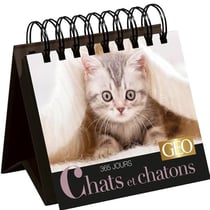 365 jours chats et chatons - calendrier Geo