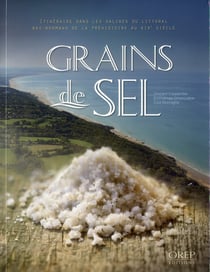 Grains de sel - itinéraire dans les salines du littoral bas-normand de la préhistoire au xix siècle