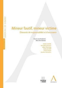 Mineur fautif, mineur victime - éléments de responsabilité et d'assurance
