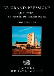 Grand-pressigny (le), le chateau n 102