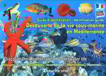 Découverte de la vie sous-marine en Méditérranée - poissons, invertébrés, mammifères