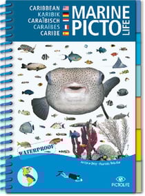 Marine Pictolife : Caraibes