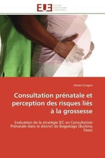 Consultation prenatale et perception des risques lies a la grossesse - evaluation de la strategie ie