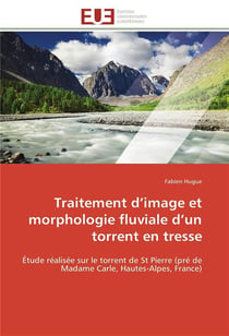 Traitement d'image et morphologie fluviale d'un torrent en tresse - etude realisee sur le torrent de