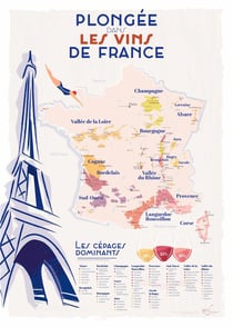 Plongée dans les vins de France