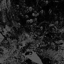 Primitive man / Unearthly trance