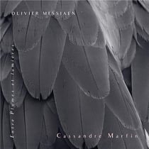 Entre plumes et lumières