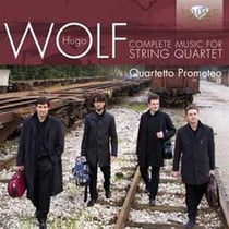 Musique pour quatuor à cordes (intégrale)