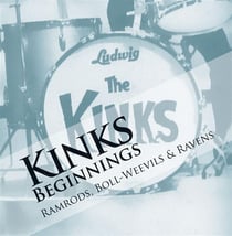 The Kinks beginnings : ramrods, bollweevils & ravens