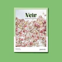 Veir magazine- numero 17 - pouvoir
