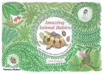 Amazing animal babies: lift the layers and see the secrets inside!