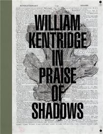 William kentridge in praise of shadows
