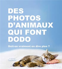 Des photos d'animaux qui font dodo - doit-on vraiment en dire plus ?